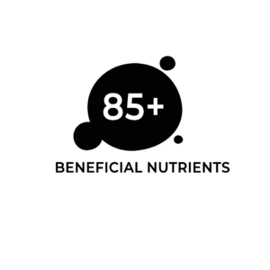 Homepage 2 artboard 2