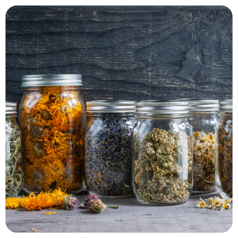 untitled design 2025 11 07t162355