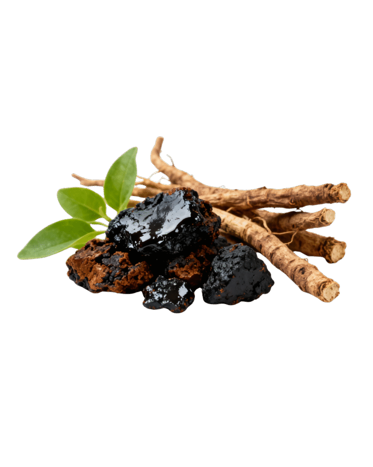 untitled design 2025 11 24t125405.569